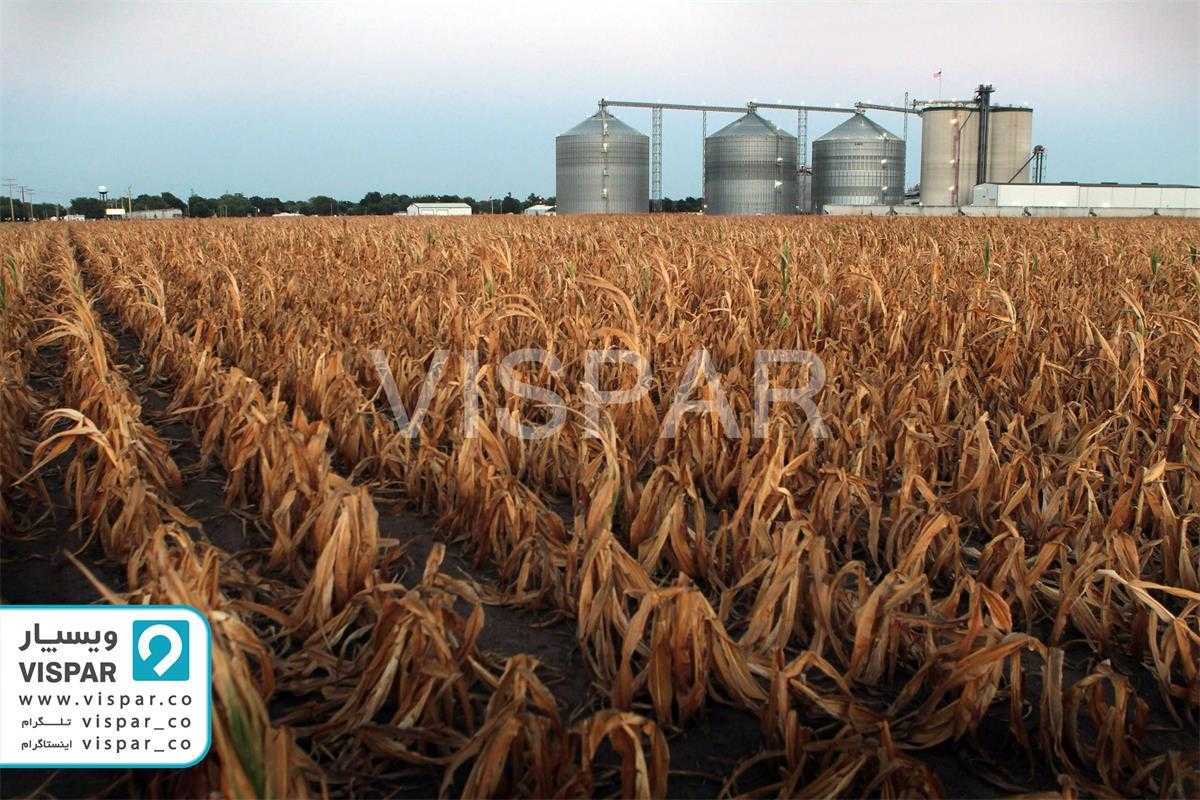 سمی شدن یکی از عوامل مؤثر بر کیفیت آب در کشاورزی