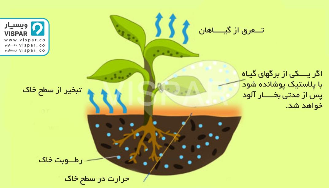 نیاز آبی گیاهان با توجه به تبخیر و تعرق گیاه