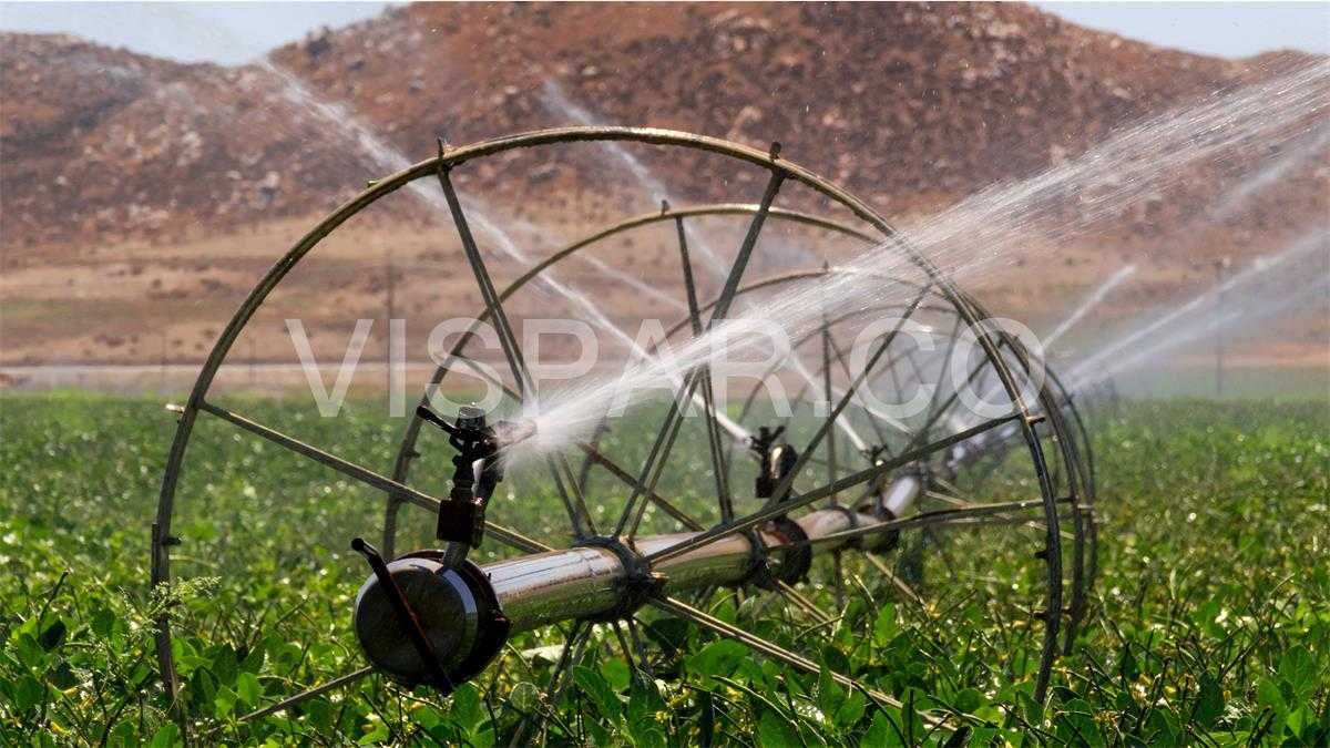 آموزش آبیاری بارانی اتوماتیک