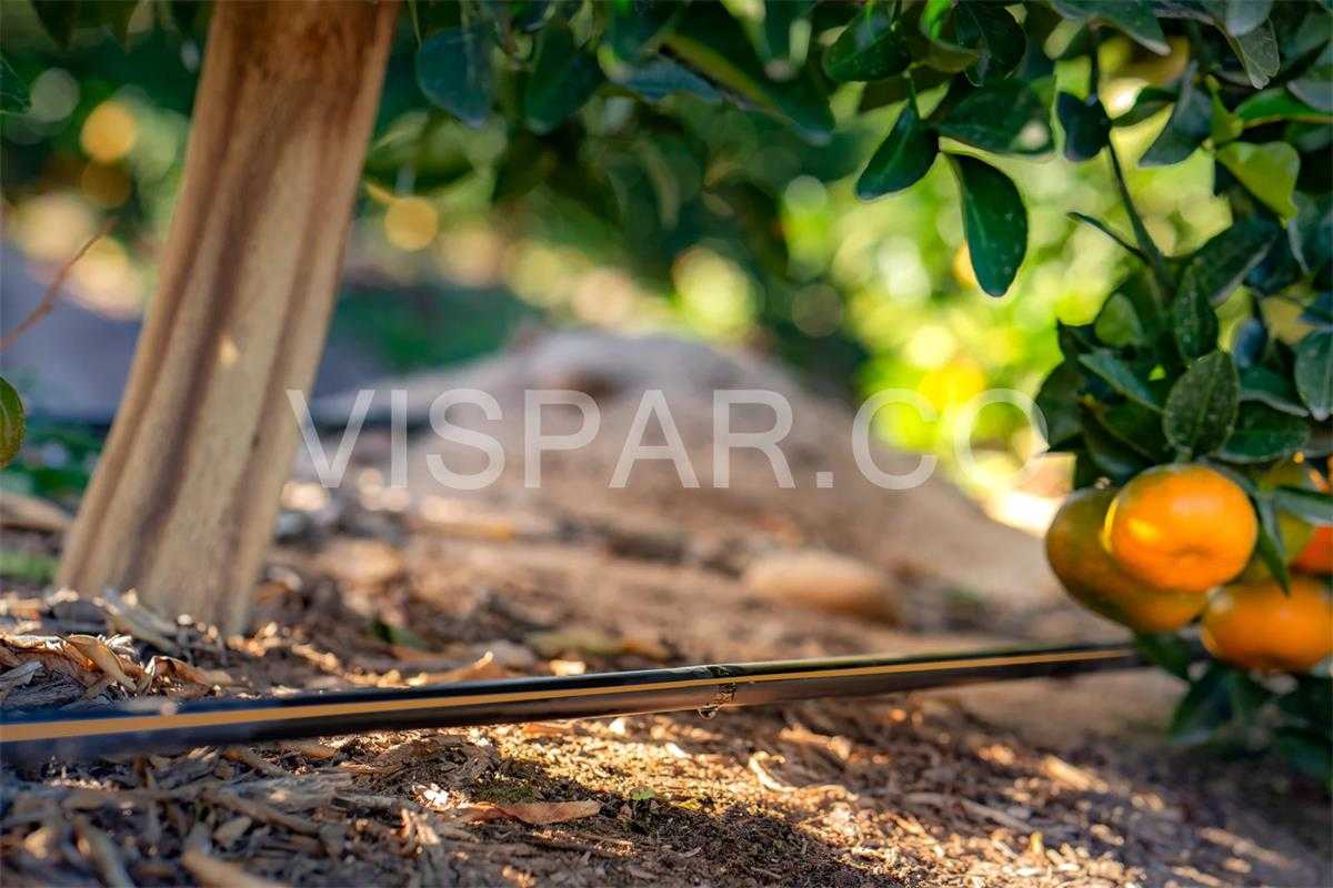 کاهش مصرف آب در کشاورزی با کمک سیستم آبیاری کارآمد و نوین