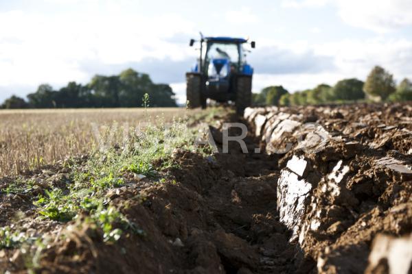 حداقل کردن عملیات خاکورزی یکی از عوامل مؤثر بر حفظ سلامت خاک کشاورزی