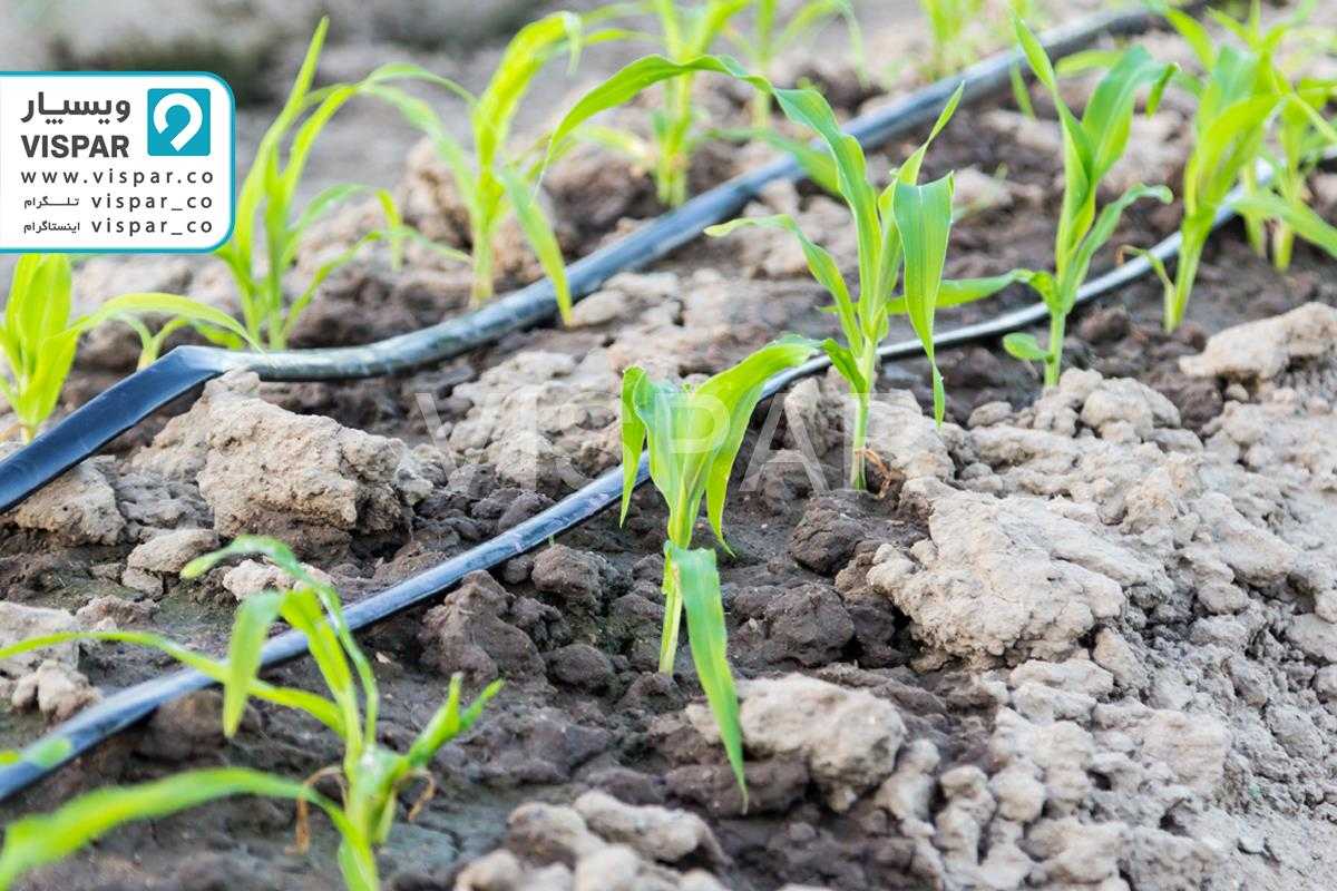 نوار تیپ جزئی مؤثر بر عملکرد سیستم آبیاری قطرهای
