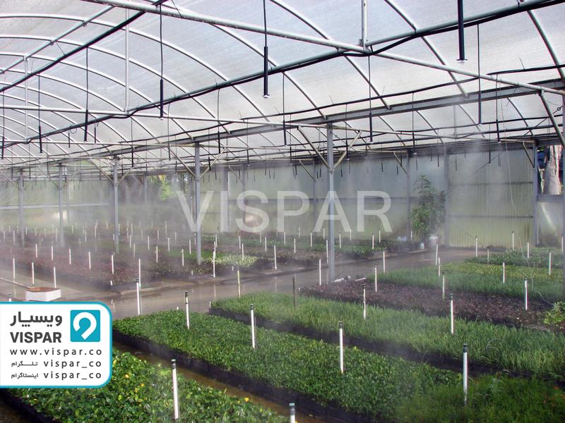 آبیاری سقفی به عنوان یکی از انواع سیستم های آبیاری در گلخانه ها