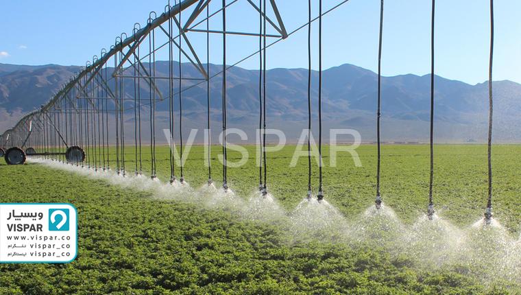 آشنایی با نکات مهم برای آبیاری یونجه و رشد یونجه با کیفیت بالا