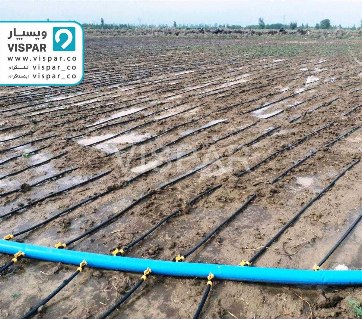 شلنگ و لوله لی فلت PVC و PE در زمین های کشاورزی