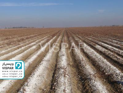 حجم نمک موجود در خاک عاملی مؤثر بر کیفیت آب در کشاورزی