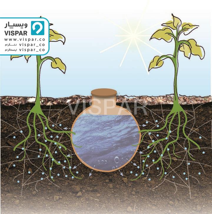 آبیاری کوزه ای یکی از انواع روش آبیاری زیر سطحی