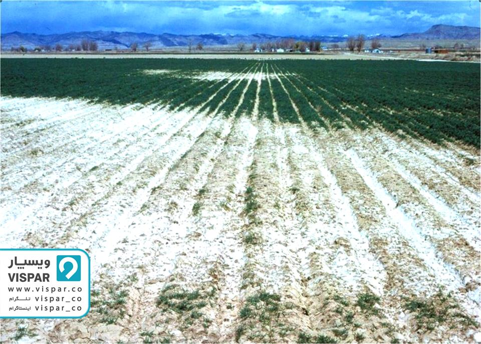 شوری عاملی مؤثر بر کیفیت آب در کشاورزی
