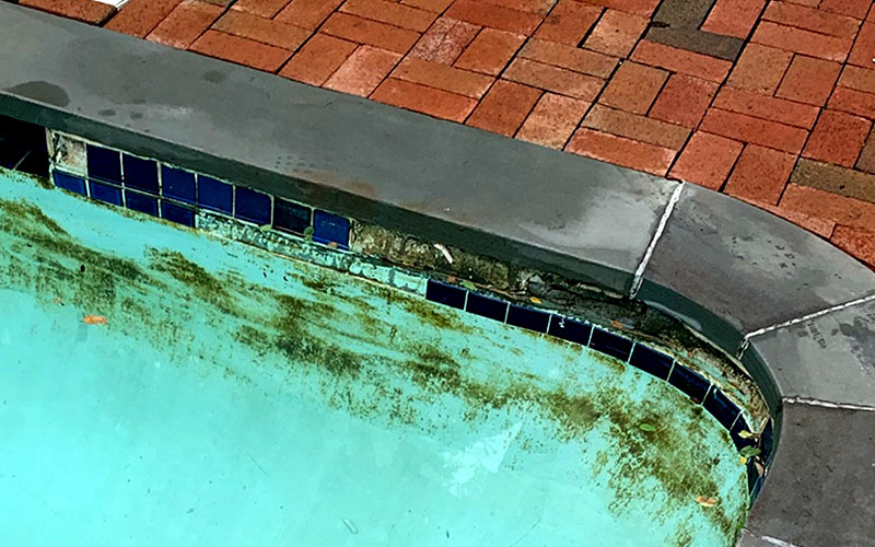 بیشتر شدن حجم و اندازه جلبک یکی از نشانه های نشتی استخر