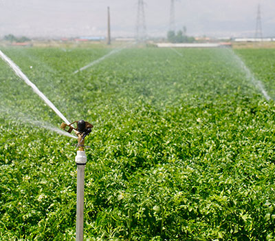 آبیاری ویسپار