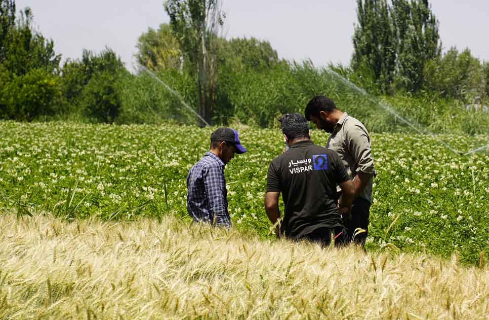 آموزش آبیاری