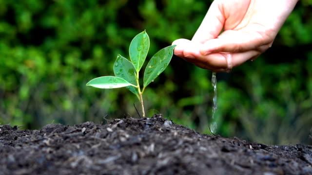 آموزش محاسبه میزان آب آبیاری