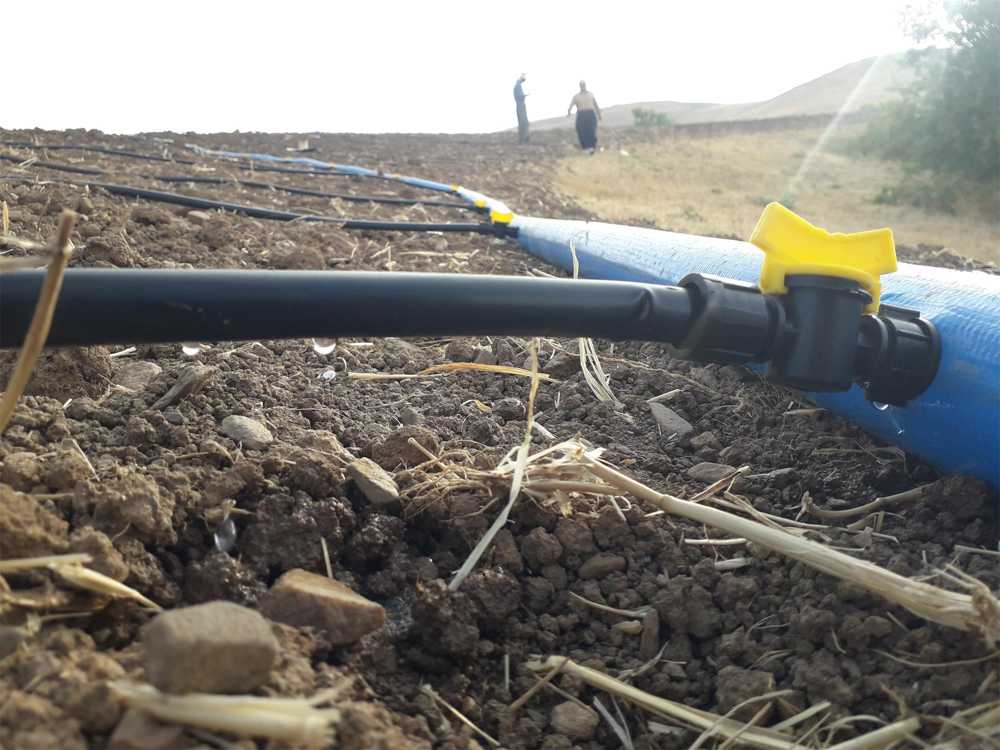 راهنمای خرید تجهیزات آبیاری قطره ای