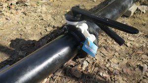 آموزش نگهداری و انبارش شیر پروانه ای