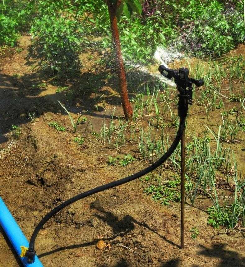 تبدیل سیستم آبیاری قطره‌ای به آبیاری بارانی با استفاده از سیستم ساما