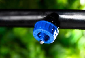 آبیاری قطره ای چیست؟ تجهیزات مورد نیاز و هر آنچه که باید بدانید.