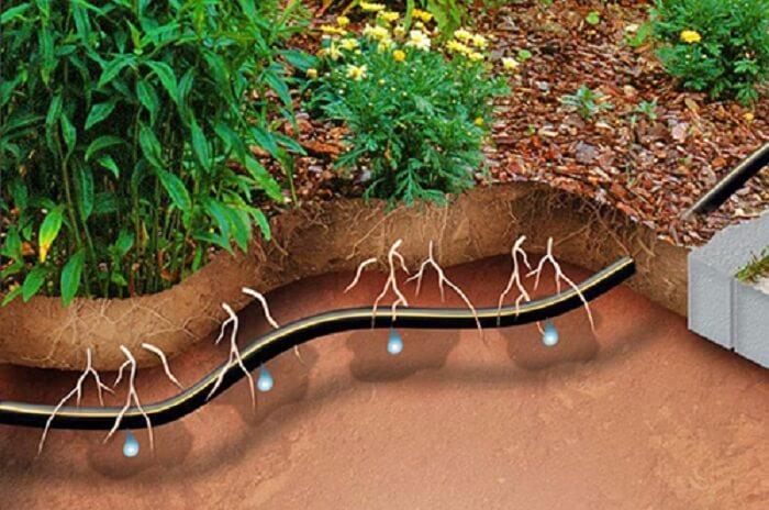 آشنایی با روش آبیاری زیر سطحی