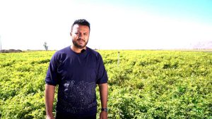 5 نکته مهم درباره آبیاری سیب زمینی از زبان کشاورز