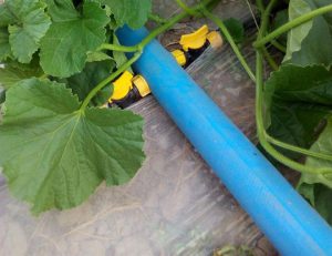 معرفی خصوصیات لوله لی فلت PVC و PE