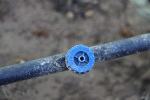 چگونه گرفتگی قطره چکان ها را برطرف کنیم؟