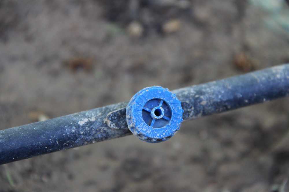 چگونه گرفتگی قطره چکان ها را برطرف کنیم؟