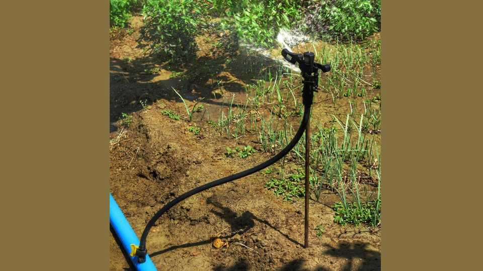 نصب سیستم آبیاری ساما