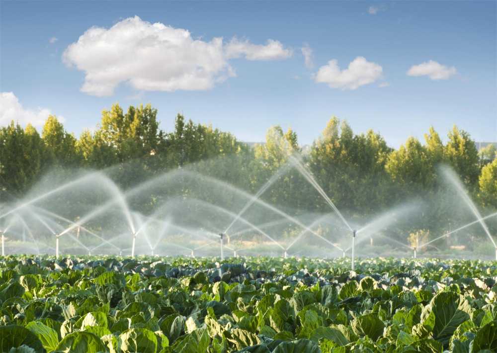 تعیین زمان مناسب آبیاری گیاهان