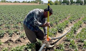 آشنایی با نحوه انتخاب سیستم آبیاری مناسب