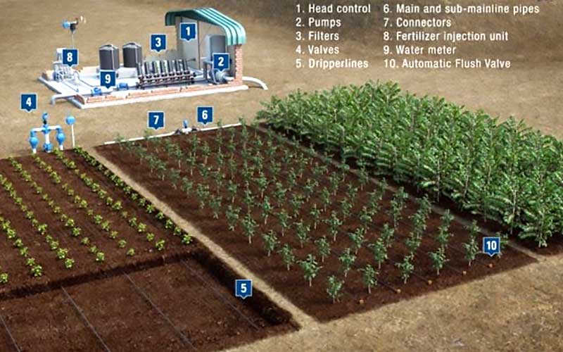 اجزای سیستم لوله کشی آبیاری قطره ای