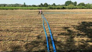 جامع ترین آموزش لوله کشی آبیاری قطره ای