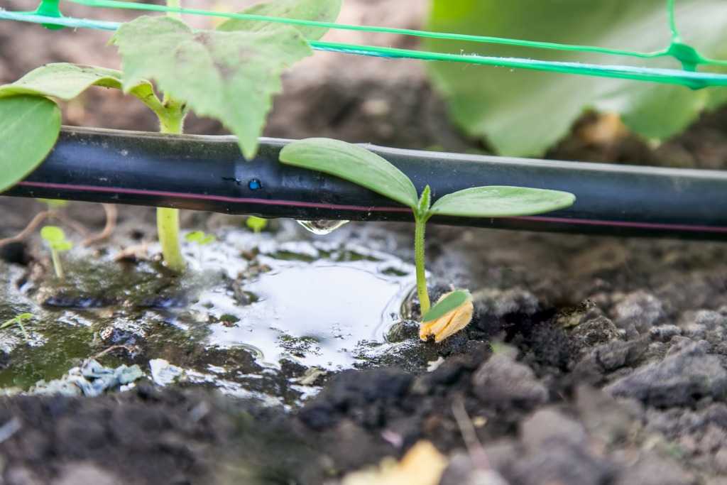 مشکلات رایج در سیستم آبیاری قطره ای و راه حل‌ آن