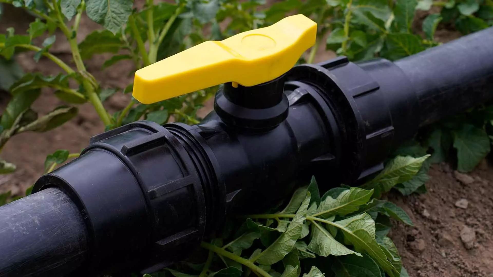 معرفی شیر توپی رابط دار