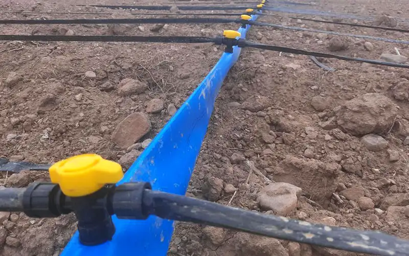 قطره چکان یکی از انواع تجهیزات تصفیه آب در کشاورزی