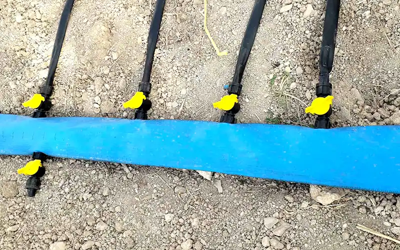 قطره چکان یکی از انواع تجهیزات آبیاری جهت رساندن آب به ریشه گیاه