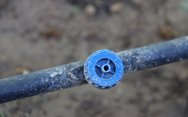 سیستم آبیاری قطره‌ای در کشت گلخانه‌ای به منظور رساندن مستقیم آب به ریشه گیاهان