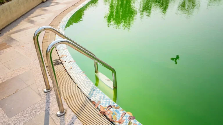 سبز شدن آب استخر در اثر عدم پیشگیری