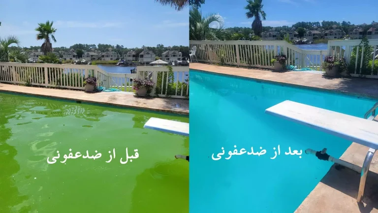 قبل و بعد ضدعفونی استخر