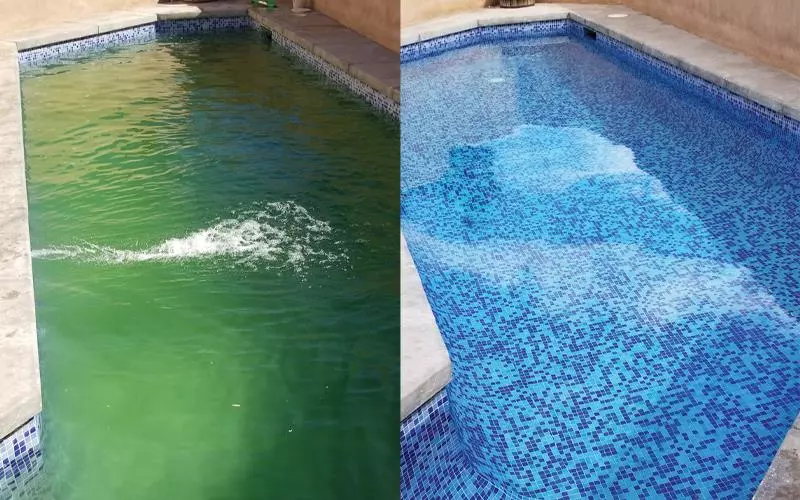 قبل و بعد از رفع سبز شدن آب استخر