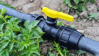 راهنمای خرید شیر توپی