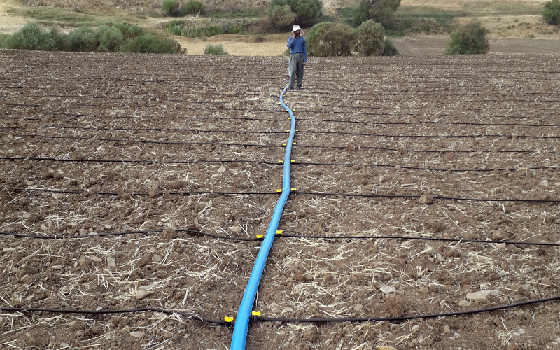 maintaining layflat hoses
