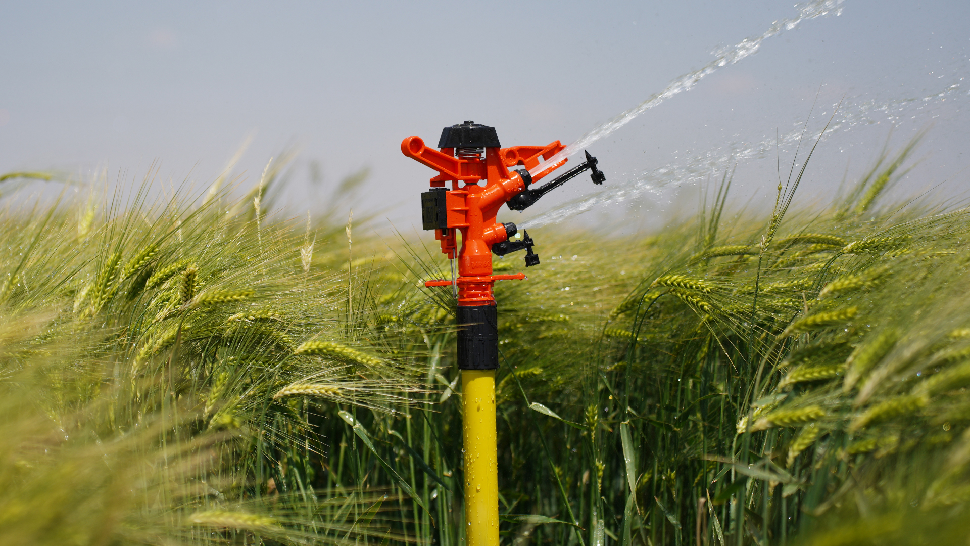 plastic impact sprinkler vs metal sprinkler