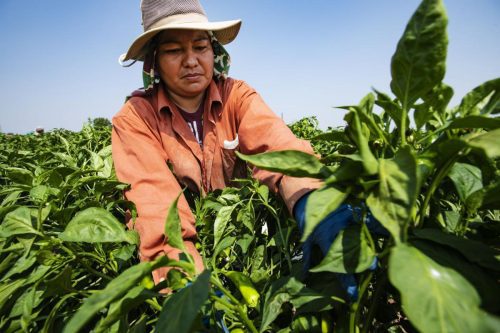 صادرات-تاجیکستان_V97DGFLQ16Q34T2main-q4wkj5awp3niye0st6xzml8wrwxj4ummn7sqb5kjr6 صادرات-تاجیکستان_V97DGFLQ16Q34T2main-q4wkj5awp3niye0st6xzml8wrwxj4ummn7sqb5kjr6