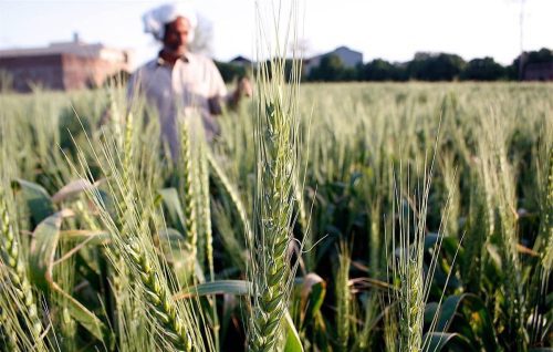 صادرات-پاکستان-افغانستان_66ZUC2K4OPUNCVFmain-q4wkj2he4ljnzk4w9nq3x3yizrbfhrbfmtu9vboq5o صادرات-پاکستان-افغانستان_66ZUC2K4OPUNCVFmain-q4wkj2he4ljnzk4w9nq3x3yizrbfhrbfmtu9vboq5o